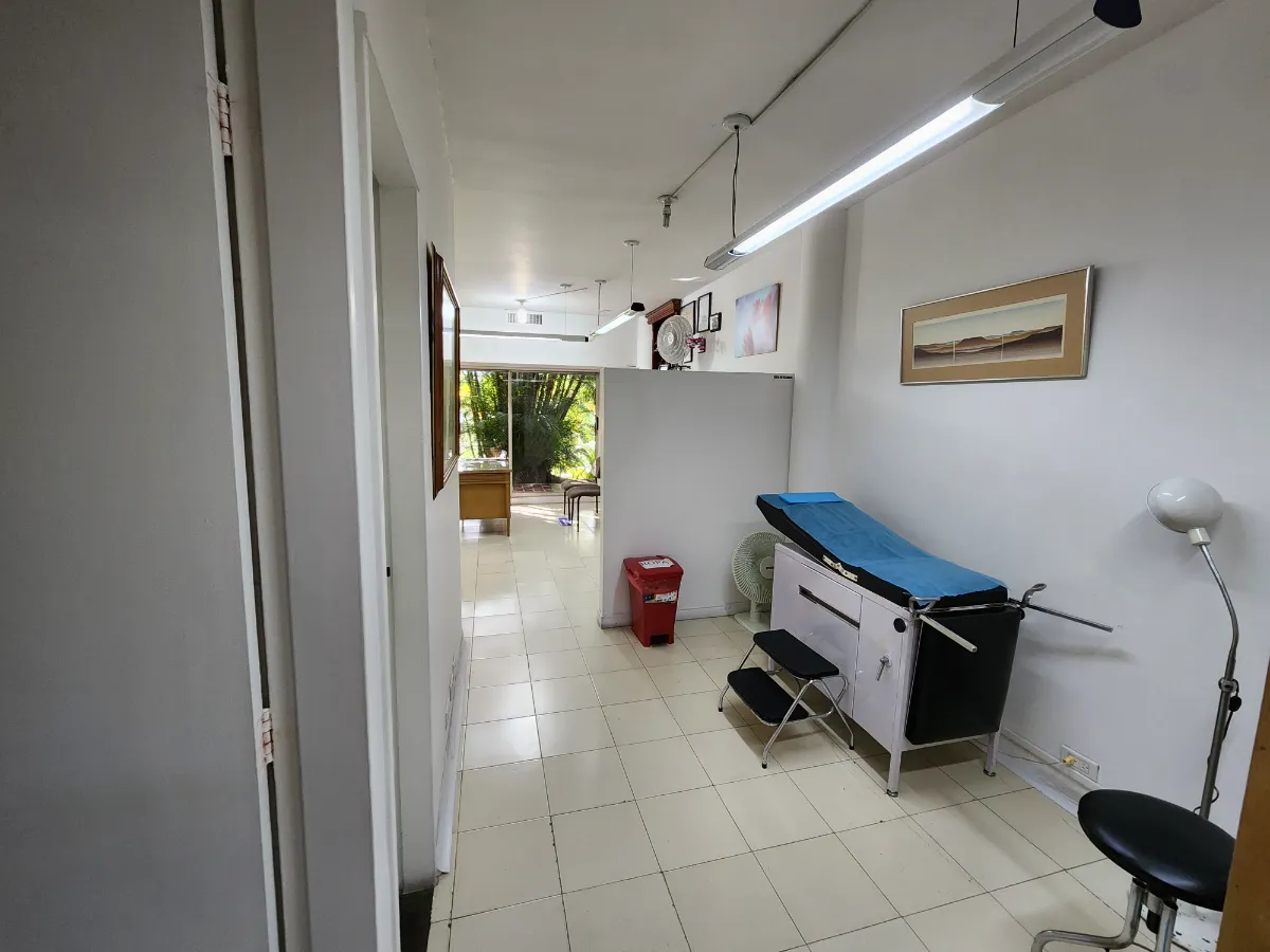 MILLA DE ORO  POBLADO OFICINA - Miniatura 5