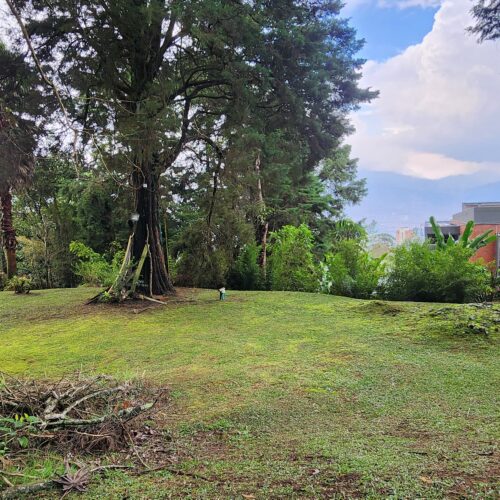 SE VENDE CASA LOTE EN PARCELACION SECTOR LOS BALSOS - Miniatura 15