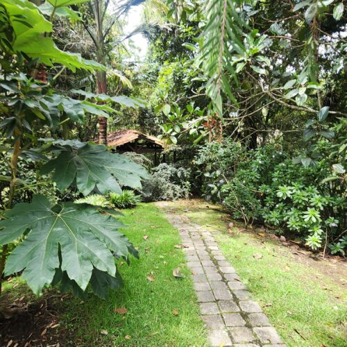 CASA LOMA DEL ESCOBERO ALTO, AMOBLADA - Miniatura 24