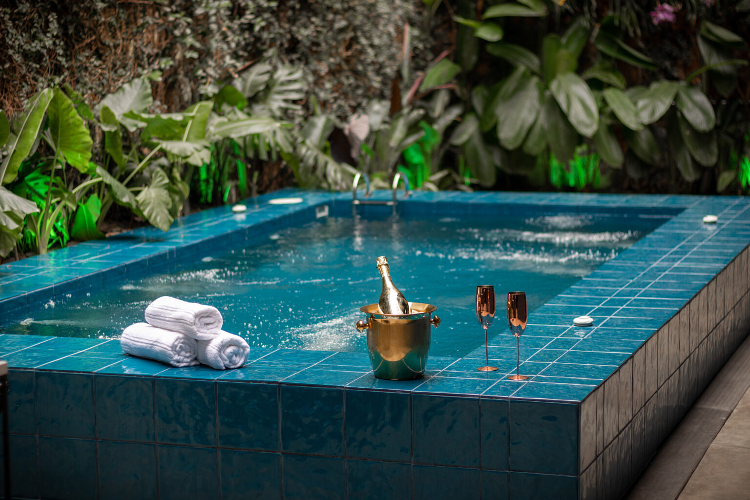 CASA 10 -  Renta por días ,para hospedaje  y eventos - Miniatura 4