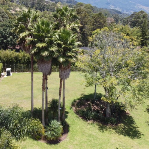 Casa  Independiente Los Balsos El Poblado - Miniatura 4