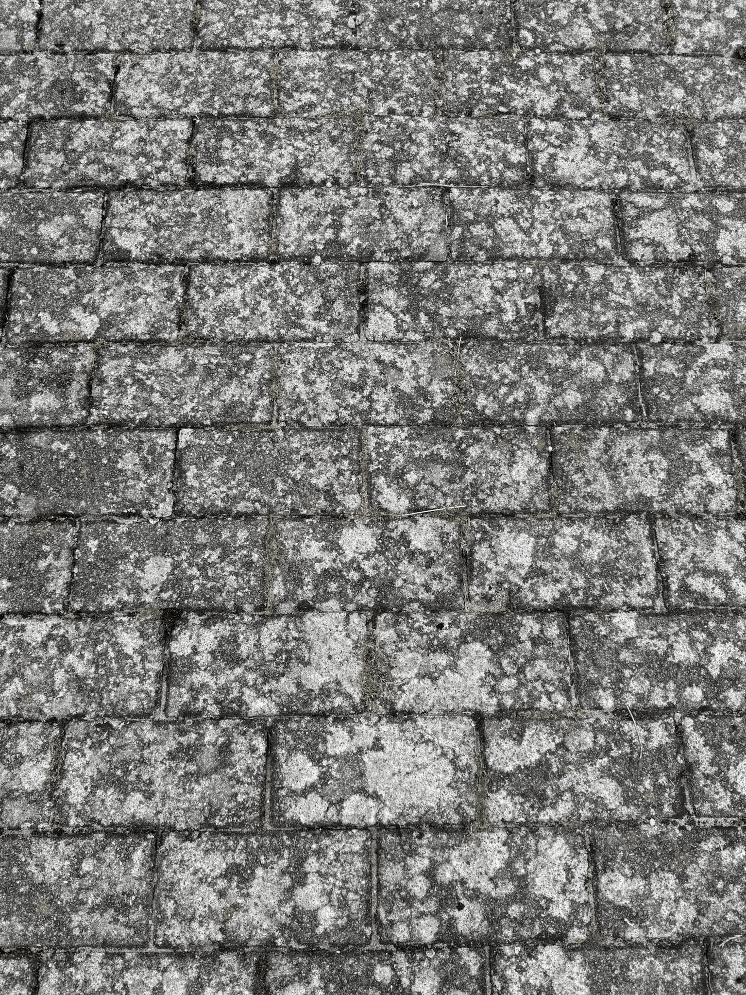Vorherbild einer Steinreinigung mit schmutzigem Steinboden
