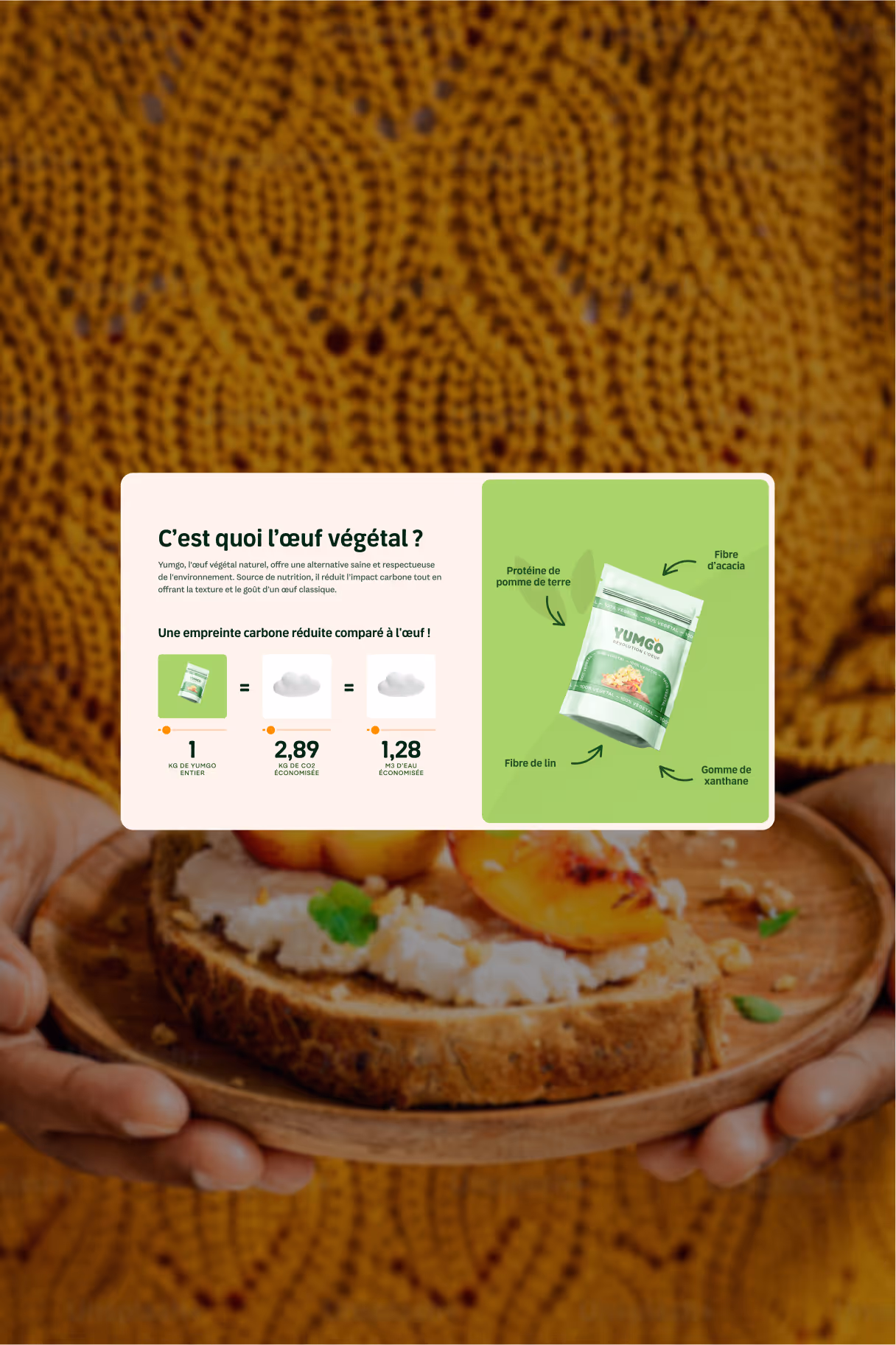 Yumgo — interface web présentant l’alternative végétale dans le contexte de la nouvelle direction artistique.