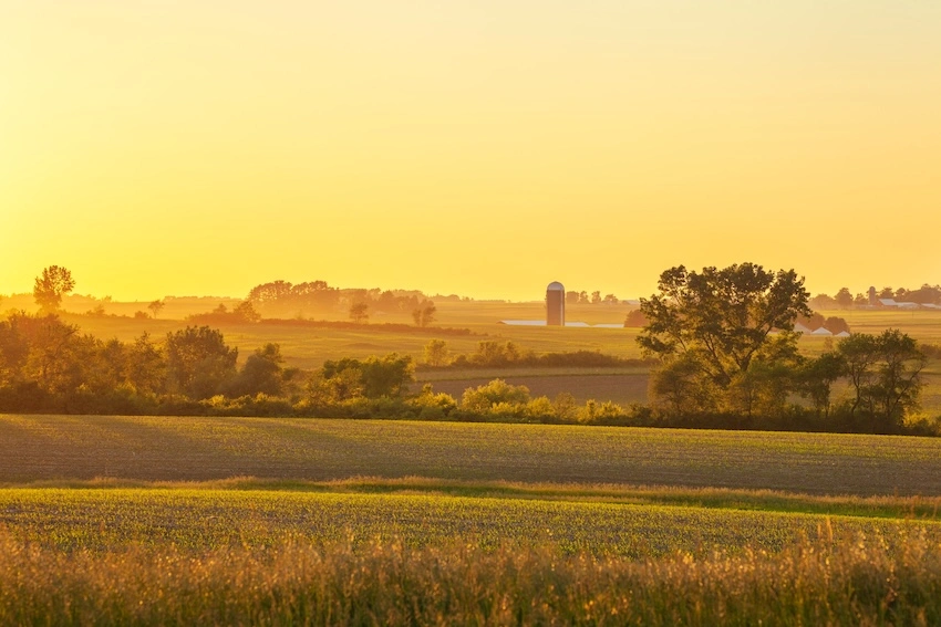 Image: Dan Thornberg/shutterstock