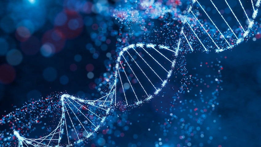 Image: TanyaJoy/shutterstock.com