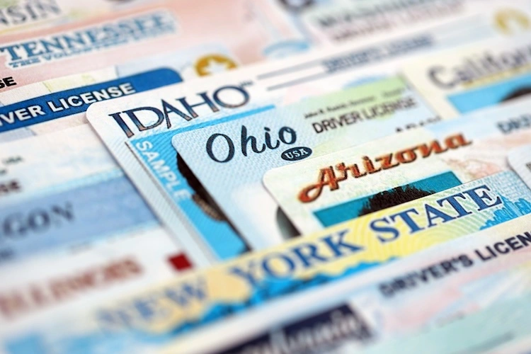 Image: Mehaniq/shutterstock