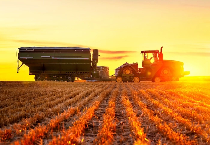 Image: VO IMAGES / shutterstock