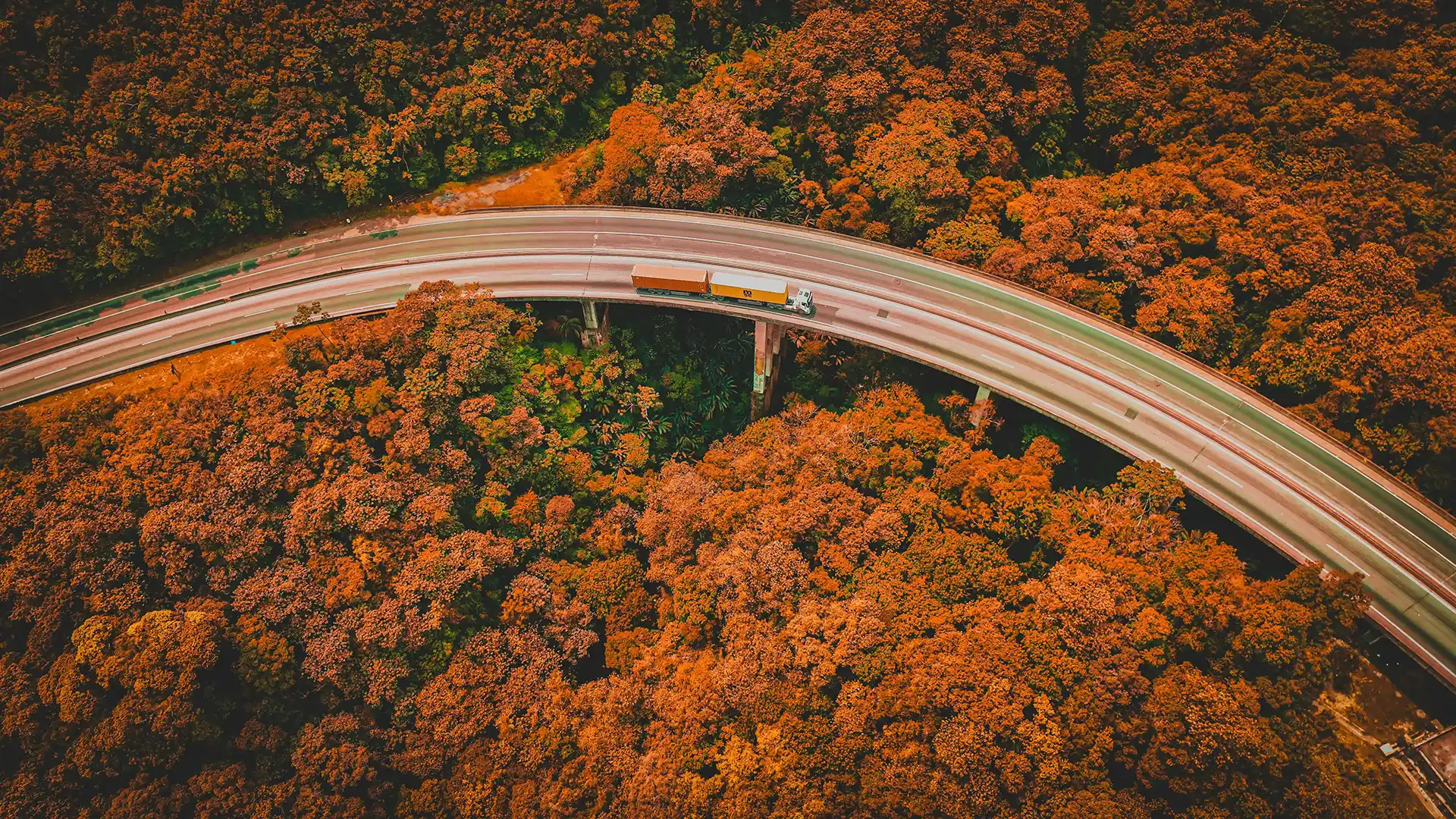 A truck driving through an orange forest during the fall.