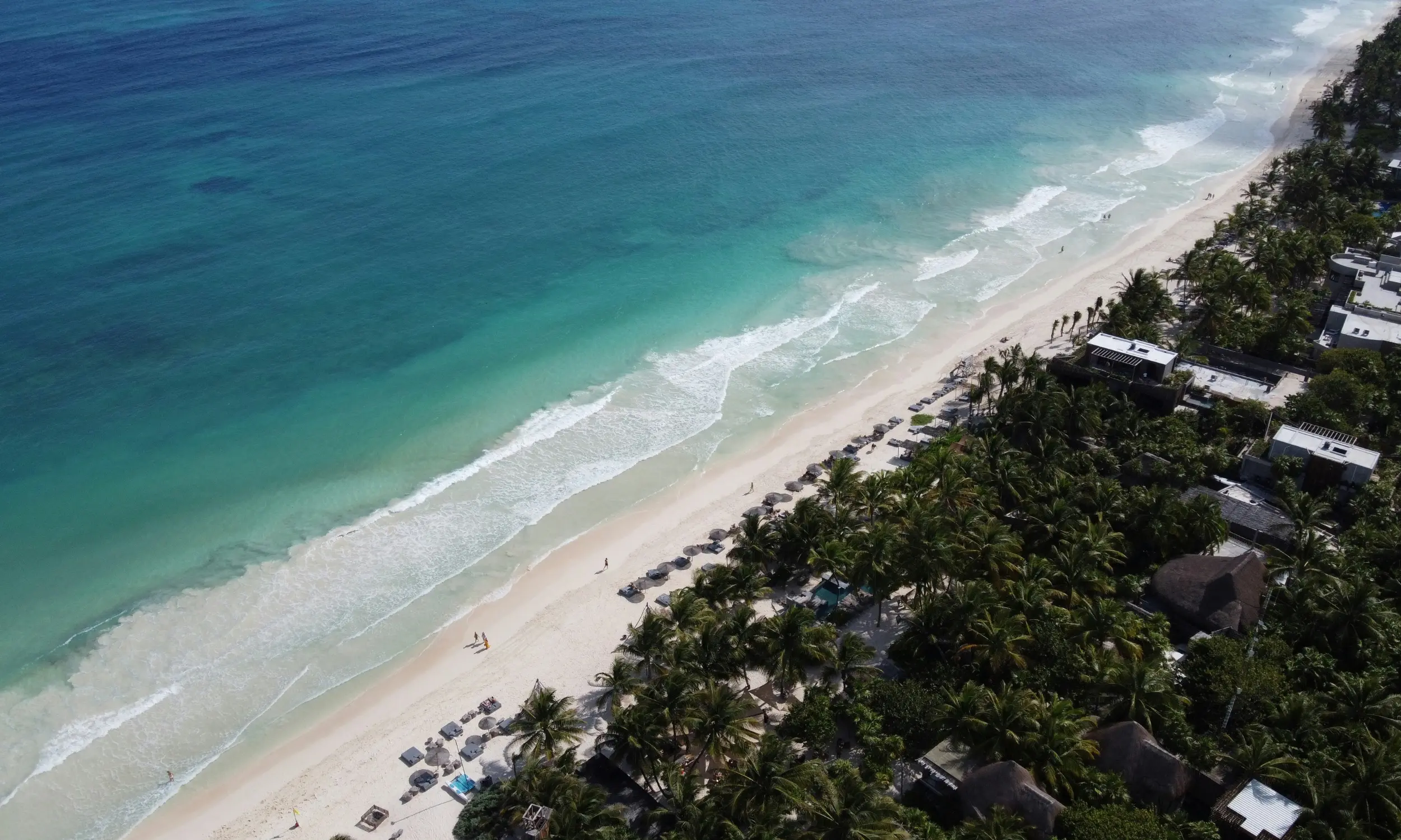 Aerial view of a tropical beach with turquoise water, white sand, palm trees, and beach umbrellas.
