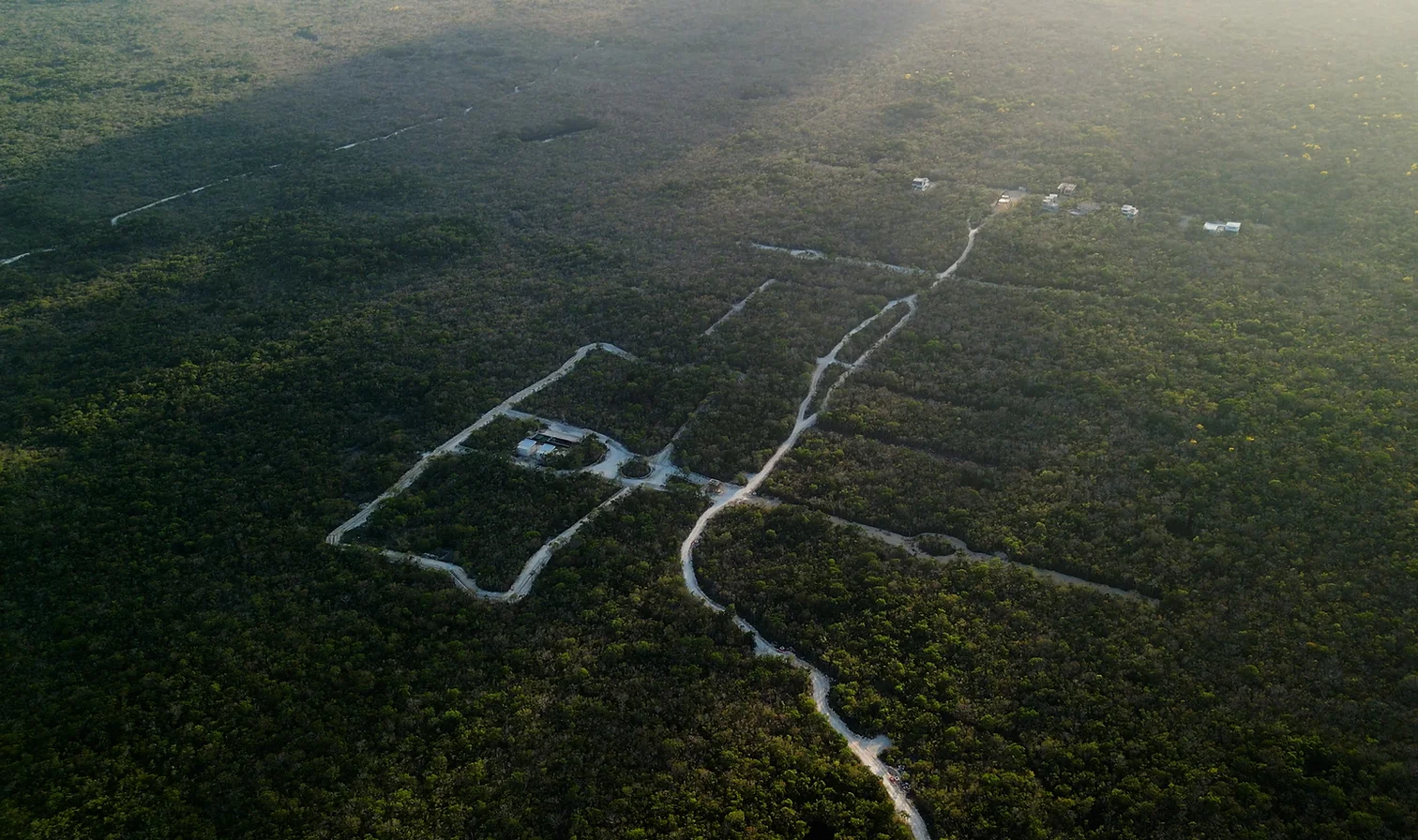 Aerial view of a dense forest with a network of dirt roads and a few scattered buildings amidst the trees.
