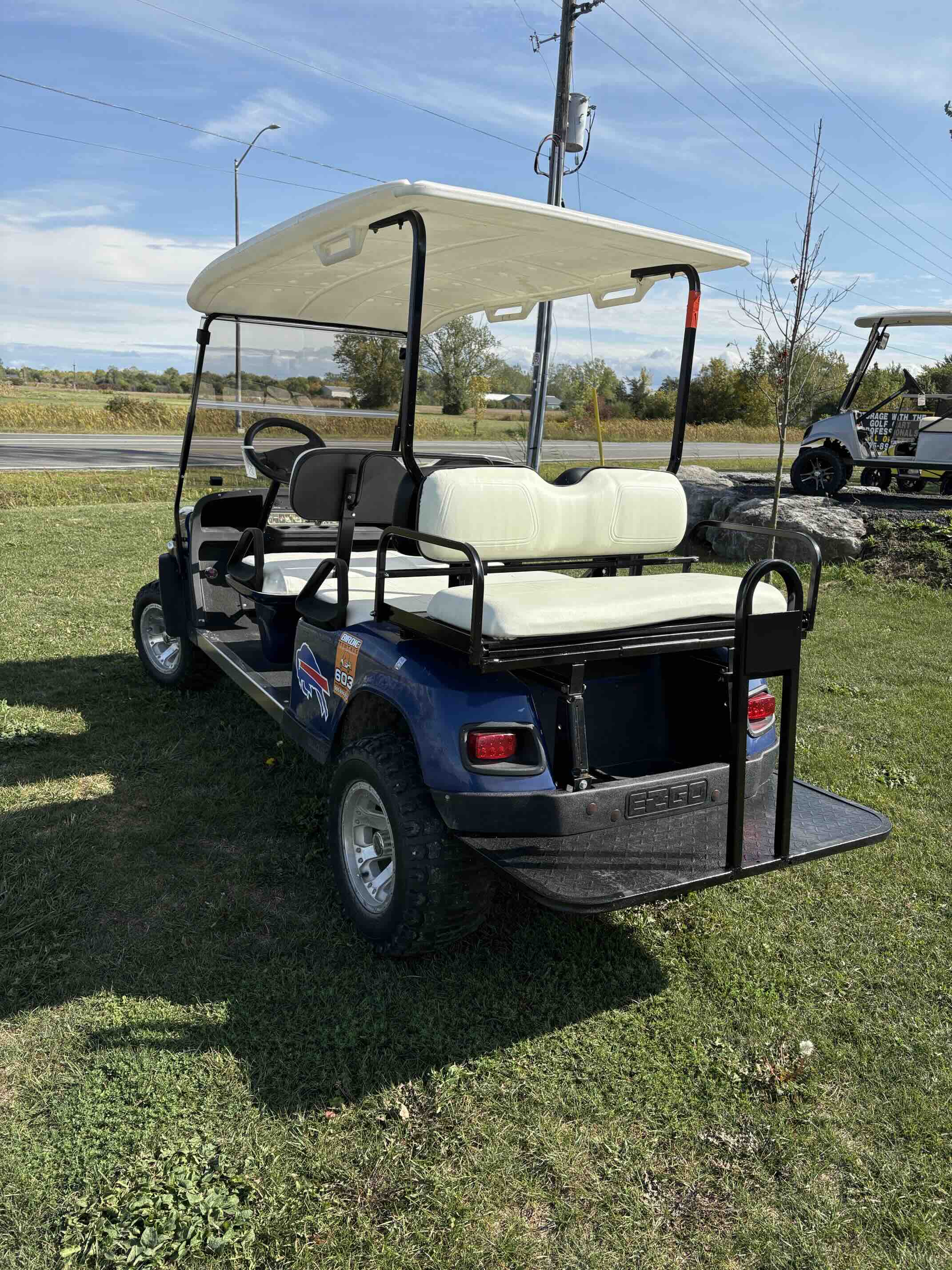 EZGO TXT 6-Passenger golf cart in Blue – Birdie Golf Carts Port Colborne