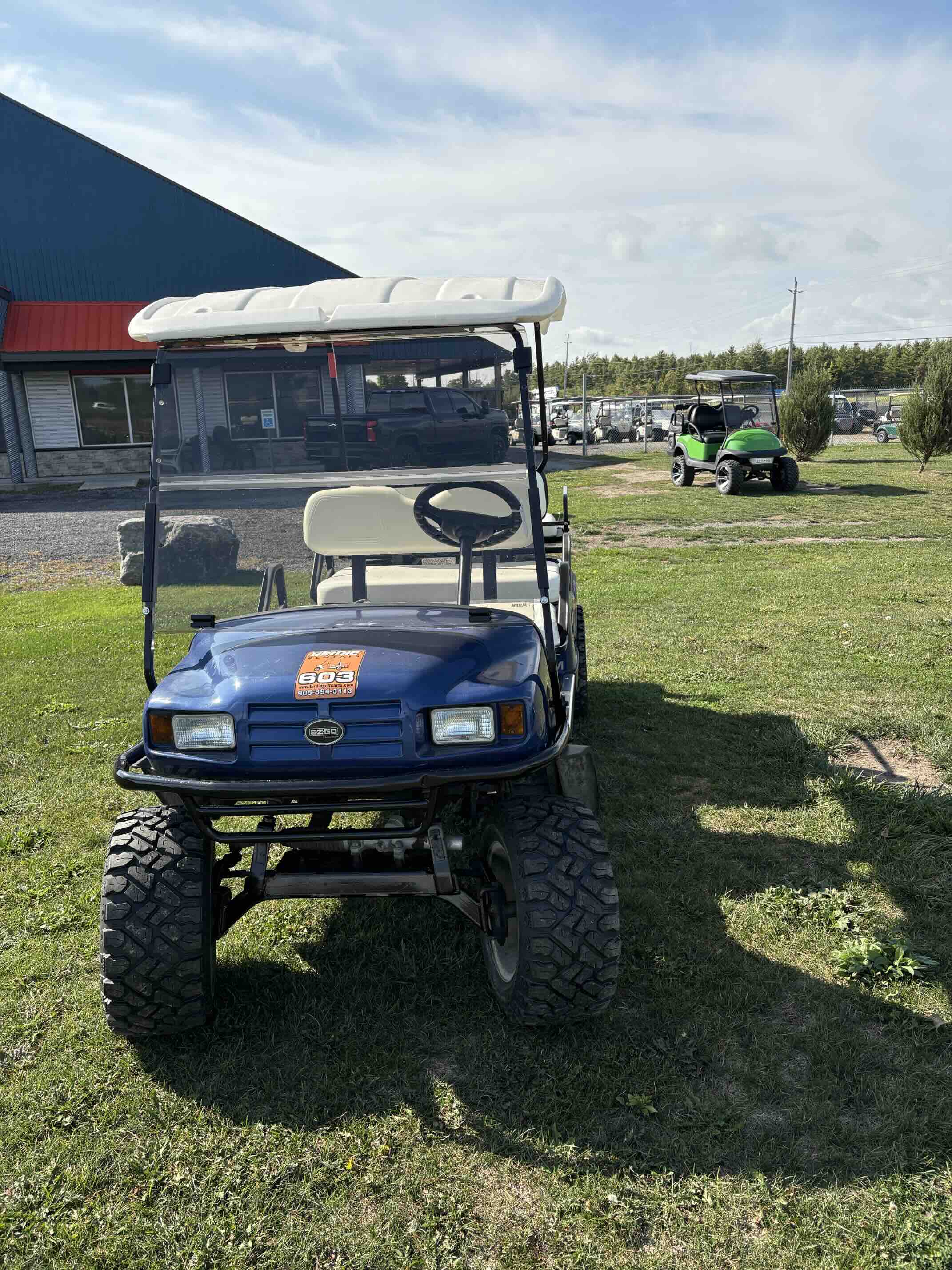EZGO TXT 6-Passenger golf cart in Blue – Birdie Golf Carts Port Colborne