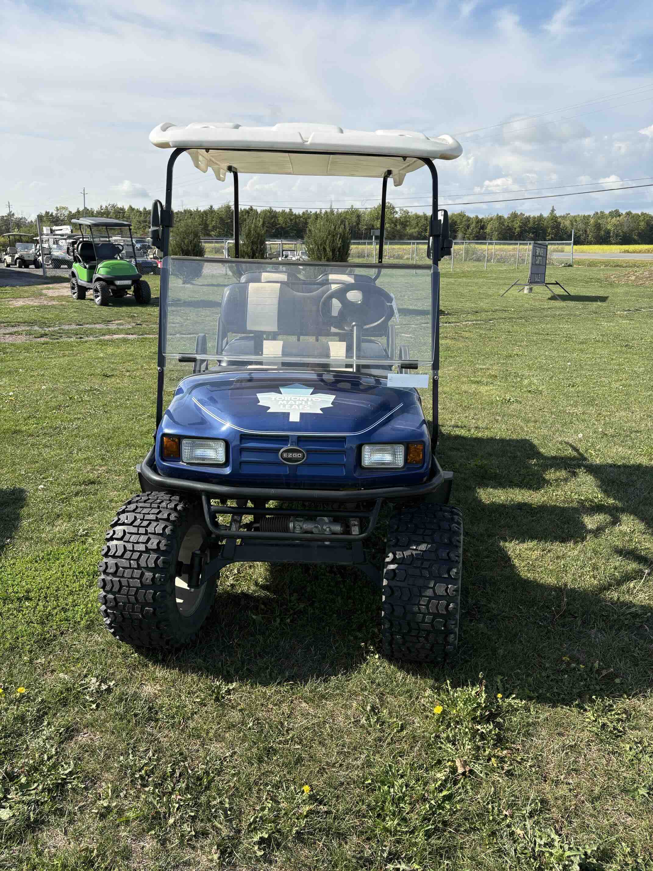 EZGO TXT 6-Passenger golf cart in Blue – Birdie Golf Carts Port Colborne