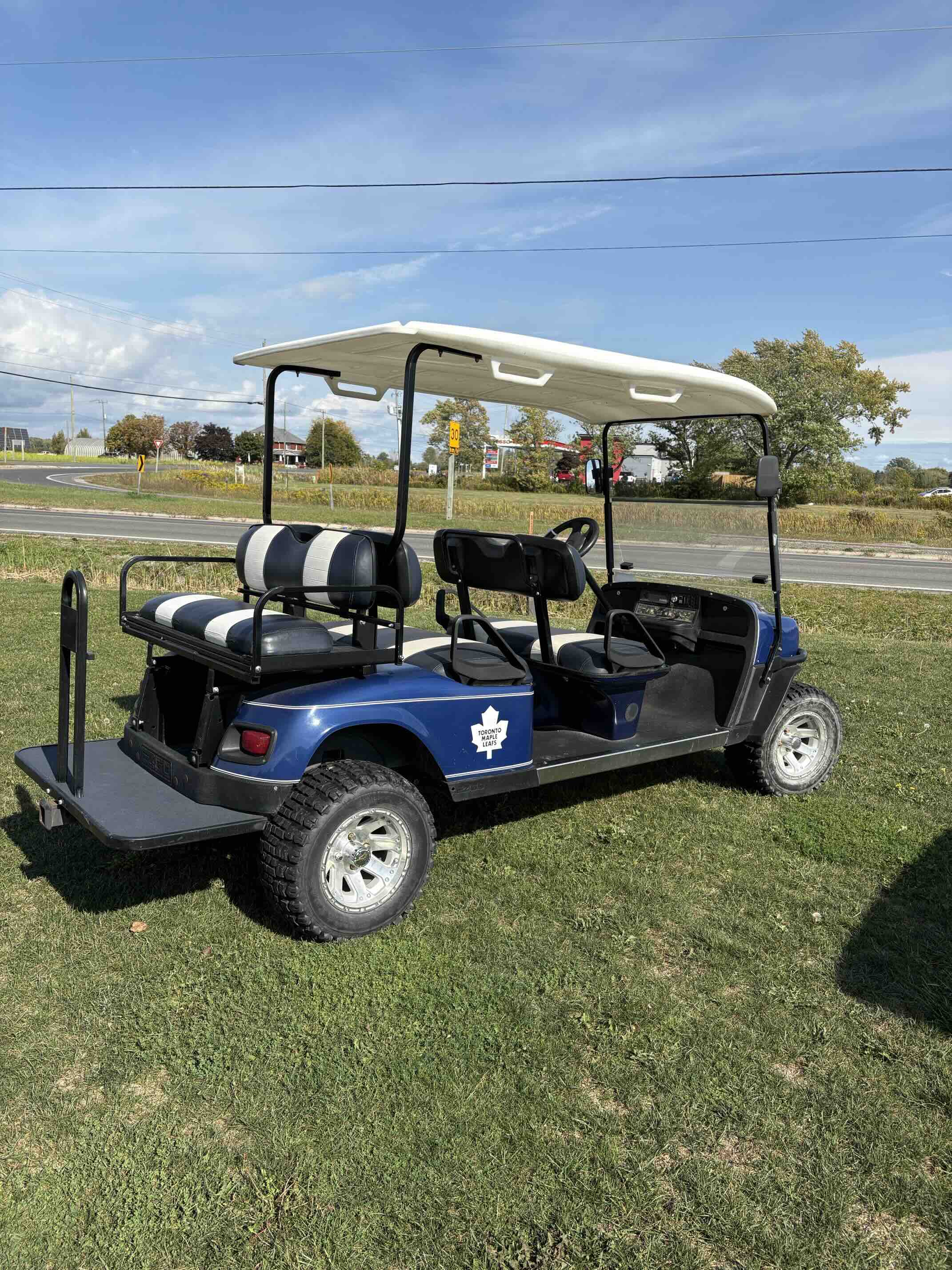 EZGO TXT 6-Passenger golf cart in Blue – Birdie Golf Carts Port Colborne