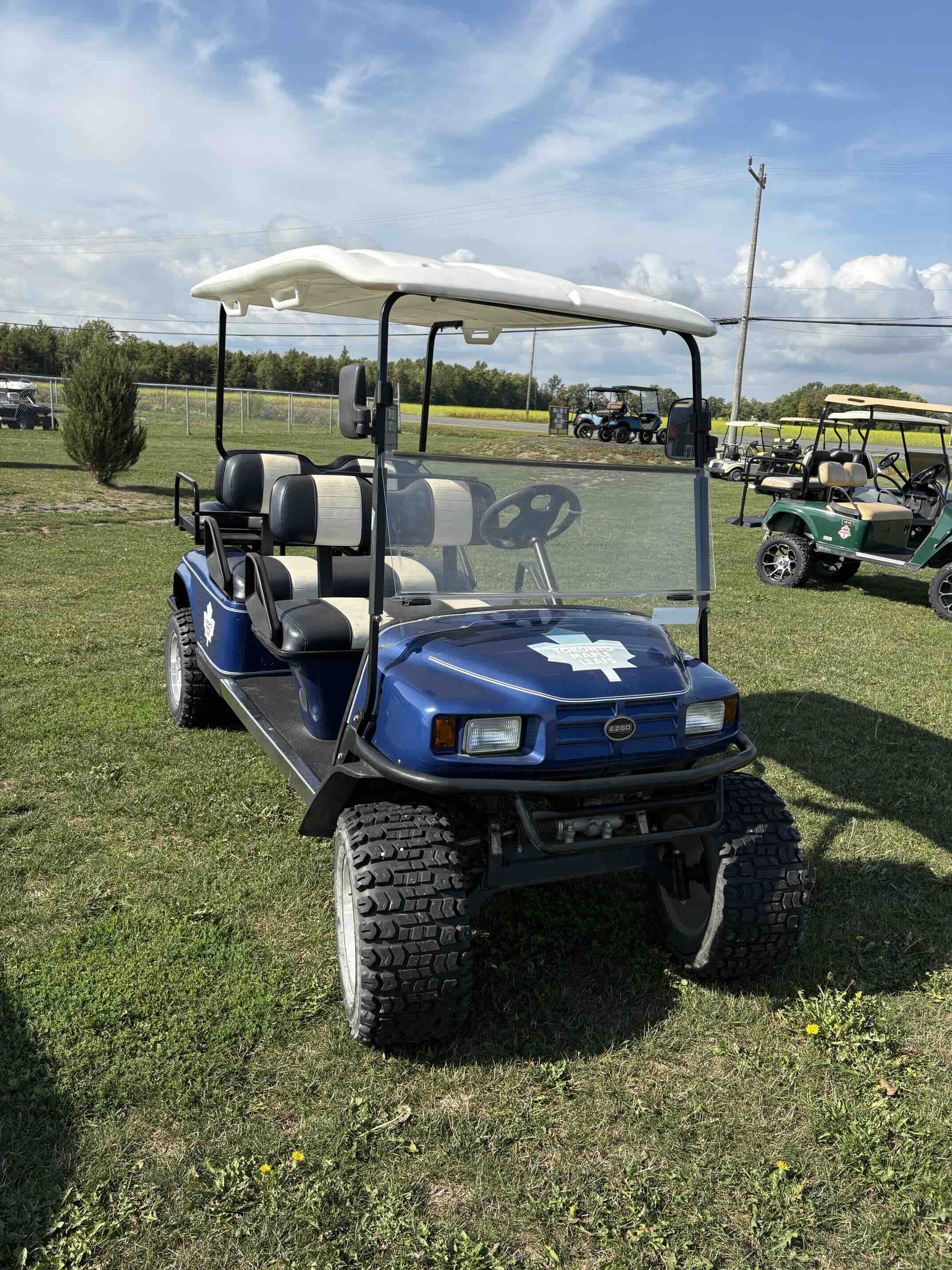 EZGO TXT 6-Passenger golf cart in Blue – Birdie Golf Carts Port Colborne