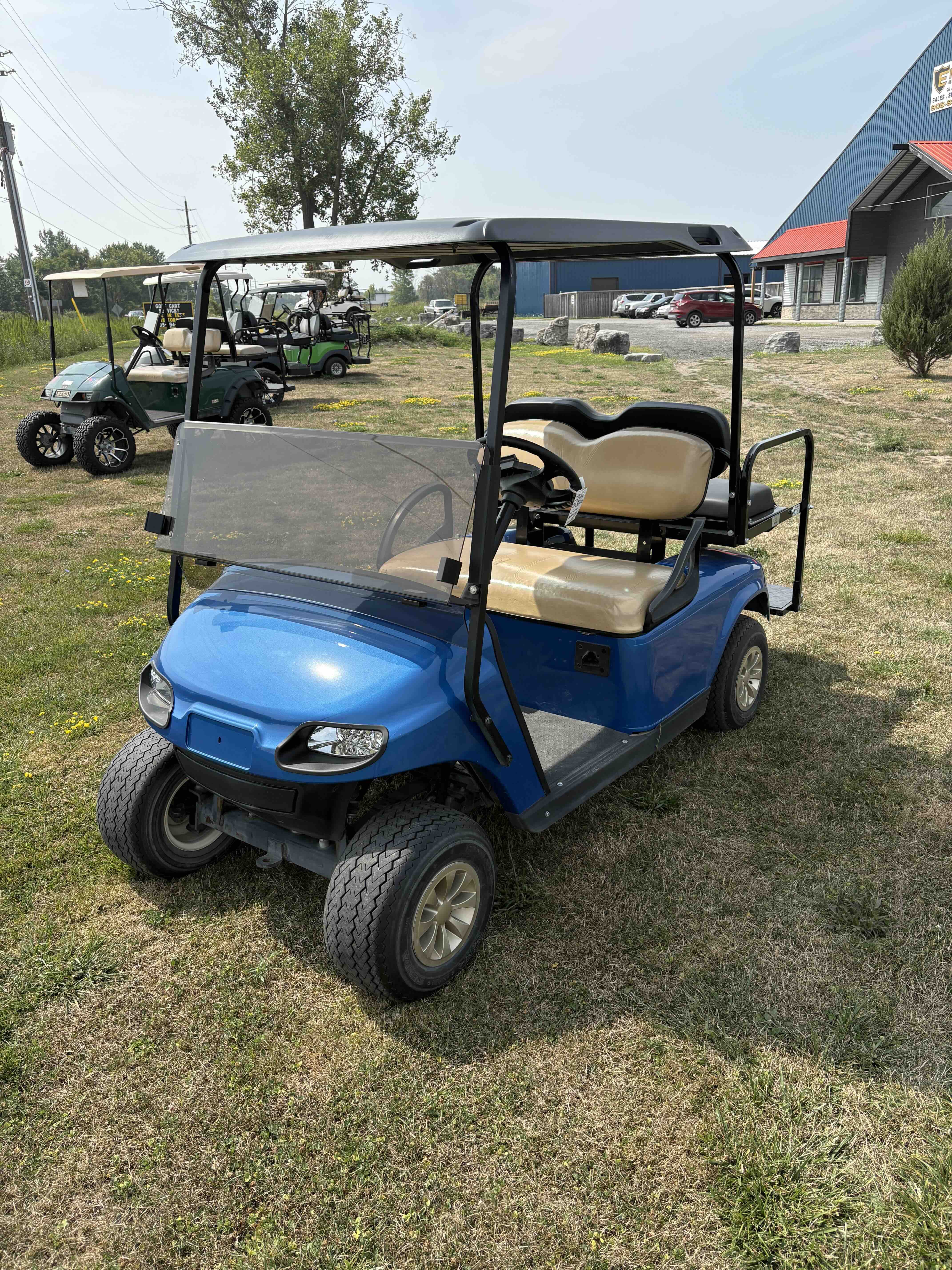 EZGO TXT 4-Passenger golf cart in Blue – Birdie Golf Carts Port Colborne