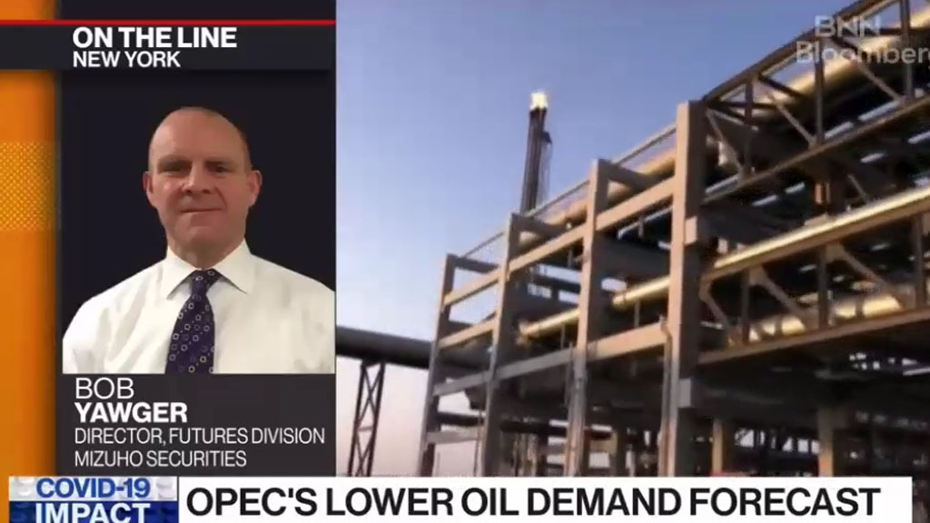 OPEC Expects Pandemic to Lower Oil Demand by 9.5M Barrels Per Day