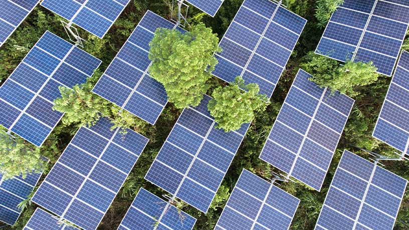 Mizuho joins the Partnership for Carbon Accounting Financials (PCAF)