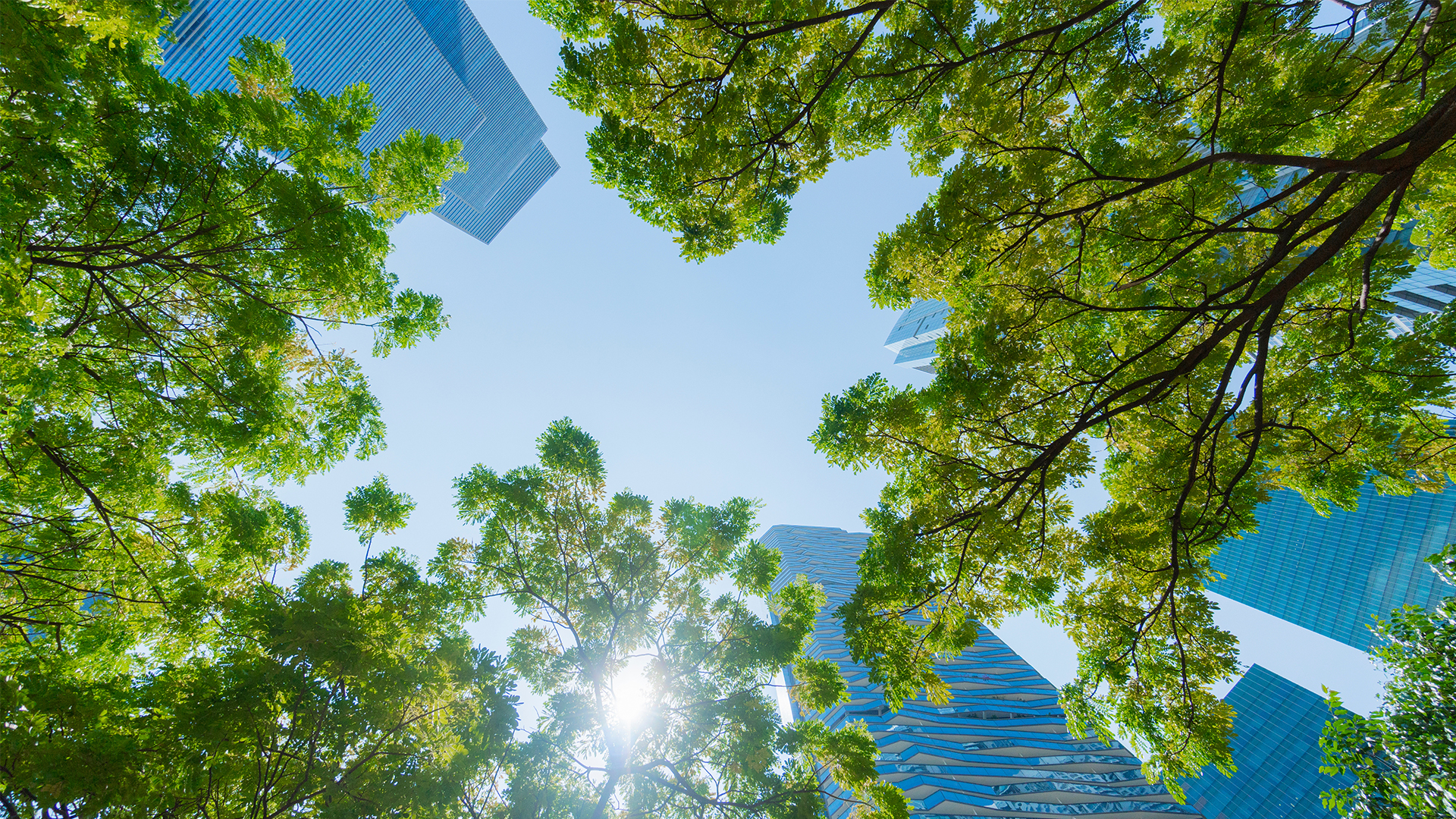 Mizuho enters strategic relationship with Decarbonization Partners