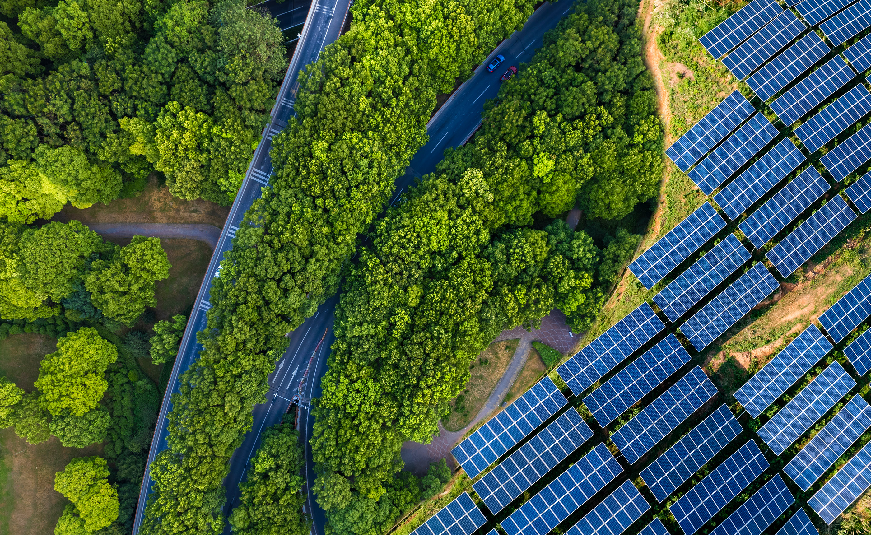 Strengthening initiatives for achieving net zero by 2050