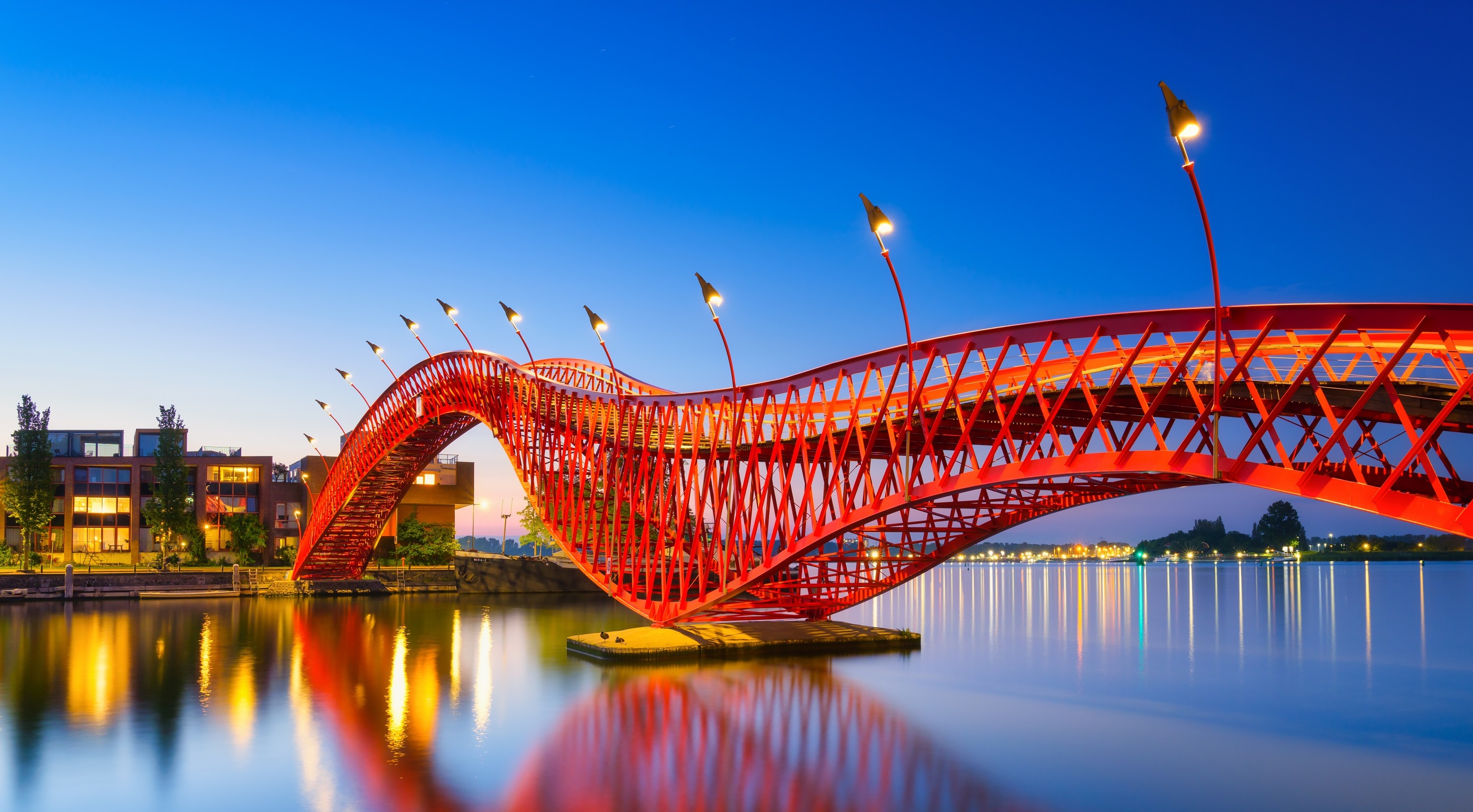 Mizuho G4 Rates & FX views | August