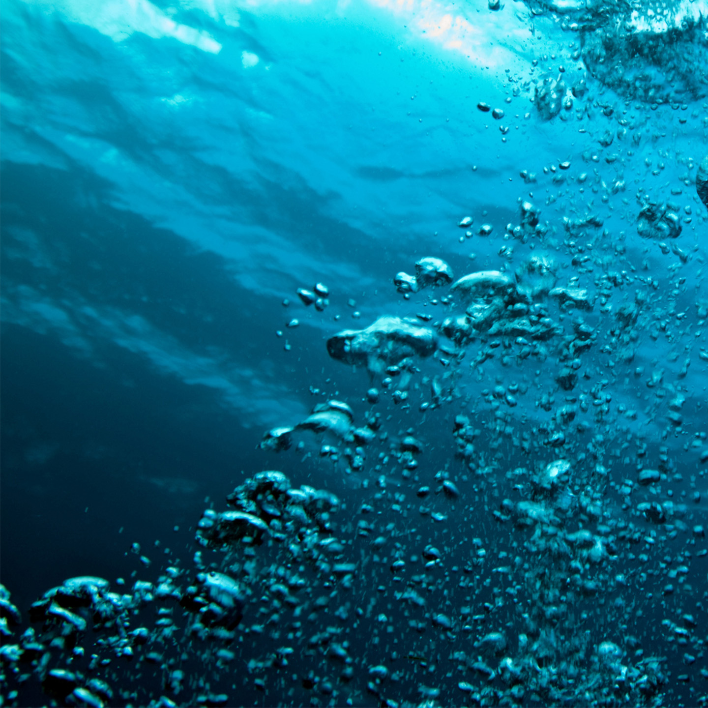 Mizuho participates on ICMA’s Social Bonds Roundtable