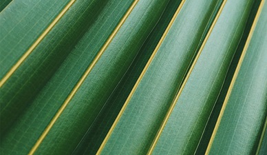 Sustainably-linked supply chain