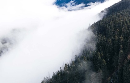 Thought Leaders: Mizuho Healthcare Services Team Questions Whether Companies Have Over-Adjusted Earnings