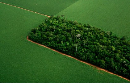 Thought Leaders: Mizuho Hosts Exclusive Silicon Valley Seminar