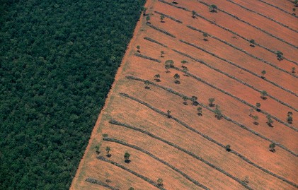 Oil and Gas Exploration & Production: Taking the Pulse of Clients, Post-Launch and Pre-3Q Earnings