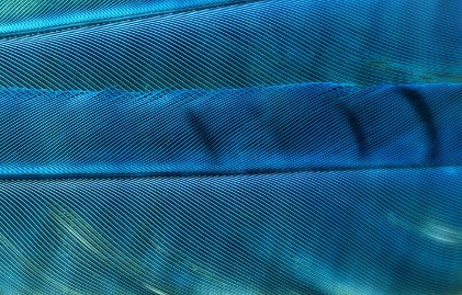 Physician Services Earnings Preview