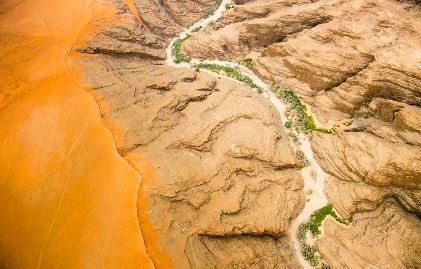 Ties that Bind: How HCA's Big Data Transforms Care