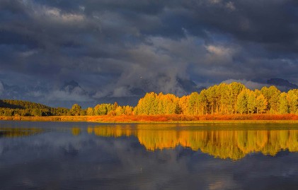 A Global Analysis of the Apple Ecosystem: India's Not China, But AAPL's Still Tasty - Buy