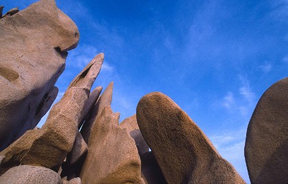 The Digital Payments Revolution: What are the Key Questions for Payment Professionals?