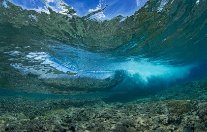 Corporate Corner: Corporate Bond Market Review Q&A with Victor Forte, DCM Syndicate Head, Mizuho Americas