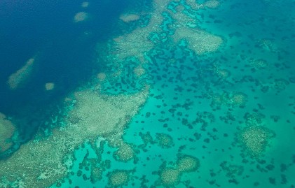 Autos: Global 2016 YTD Sales Up; Strength in China Positive for NXPI, CY & ON