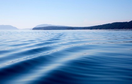 Breaking Down Biotech: Despite Trading Near Historical Lows, A Promising Sector for 2017