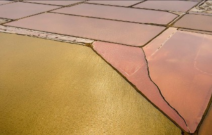 What is China’s Trump Card in a Trade War?