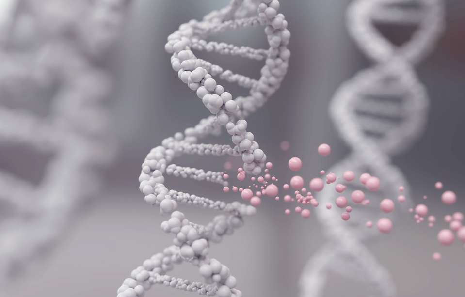 The History of Cancer Care