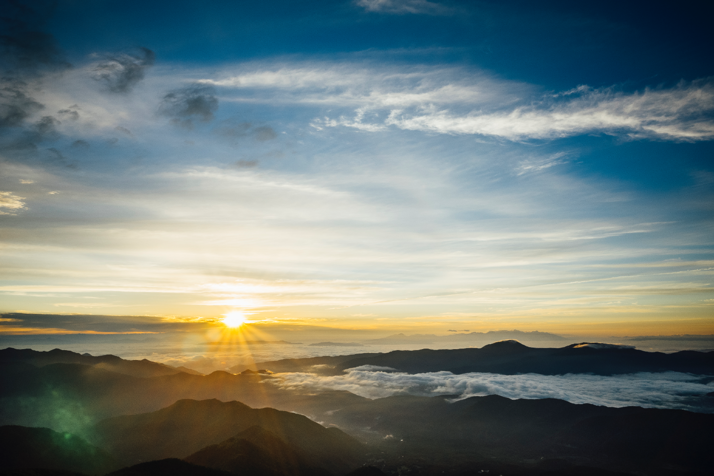 A Post-COVID World: What “New Normal” Holds in Store