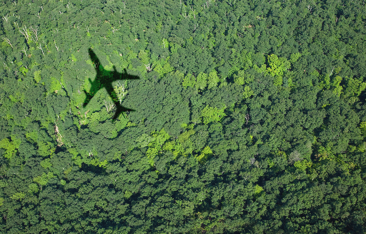 Can Travel Come Back from COVID? Analyst James Lee on the Road Ahead