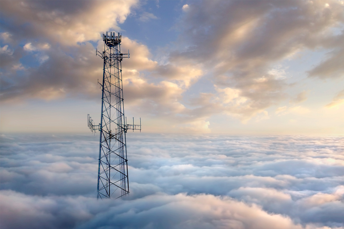 Equity capital markets – tech, media & telecom: 2021 year in review