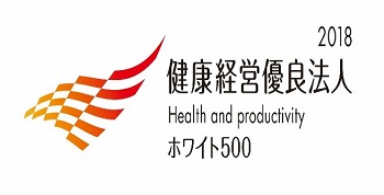 2018 Health and Productivity (White 500)