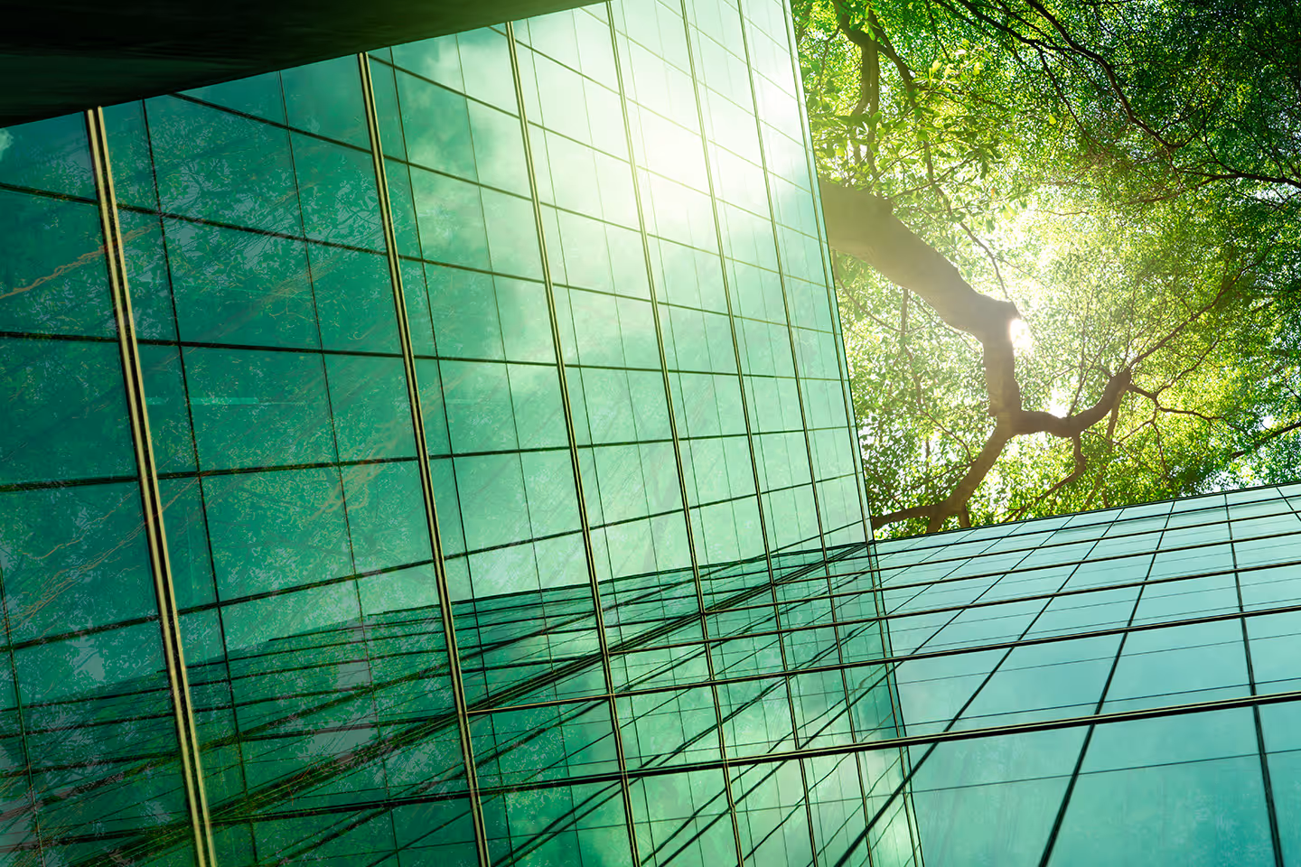 Capstone Partners Completes Survey with LPs on ESG