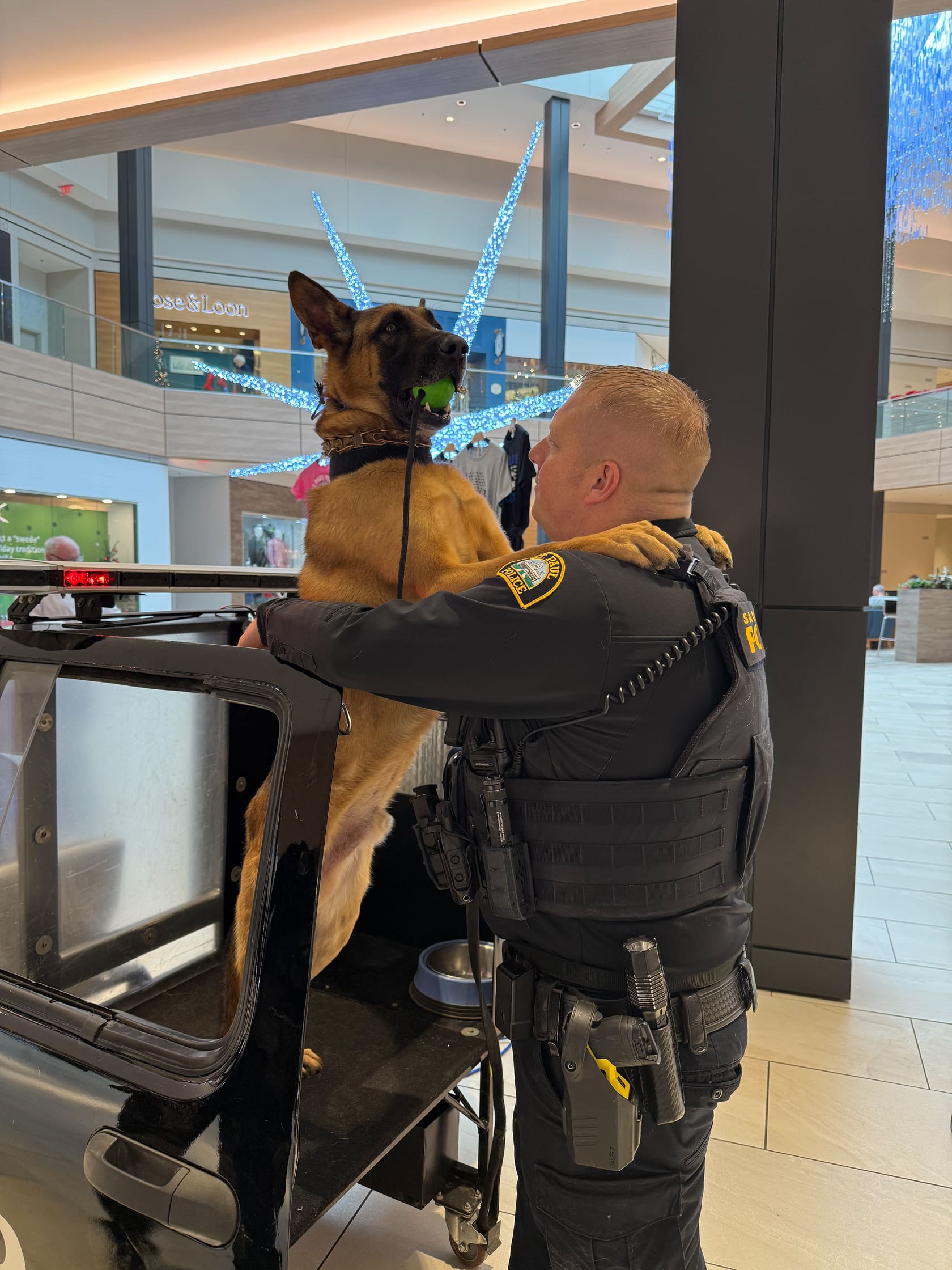 Police officer hugging a Belgian Malinois dog holding a green ball in its mouth inside a shopping mall.