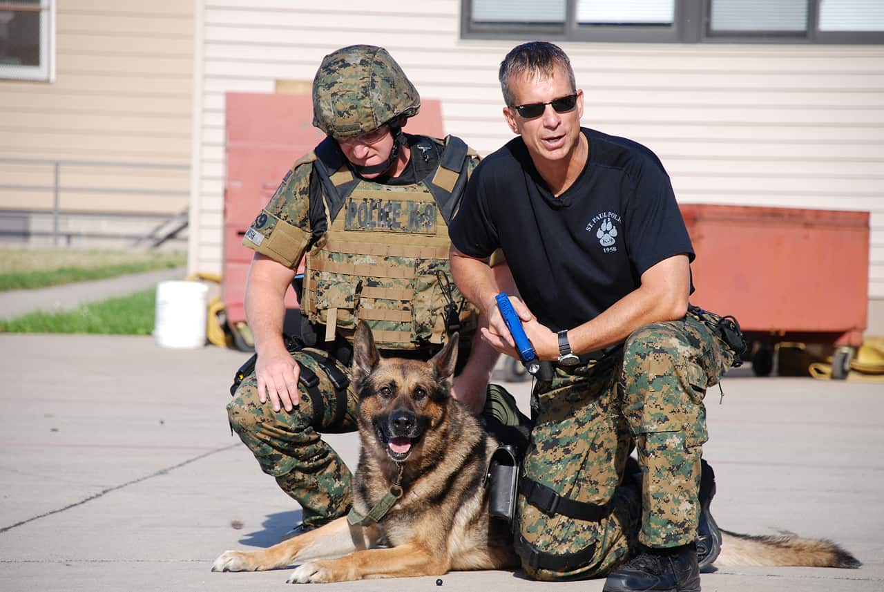 Three police officers standing in front of a tunnel entrance, each holding a leash with a German Shepherd police dog, with snow on the ground around them.