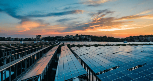 Rows of solar panels reflecting sunlight during sunset