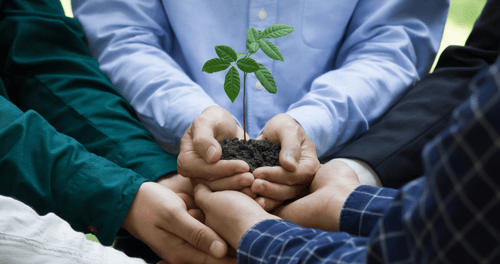 Close-up of multiple hands holding soil with a small green plant