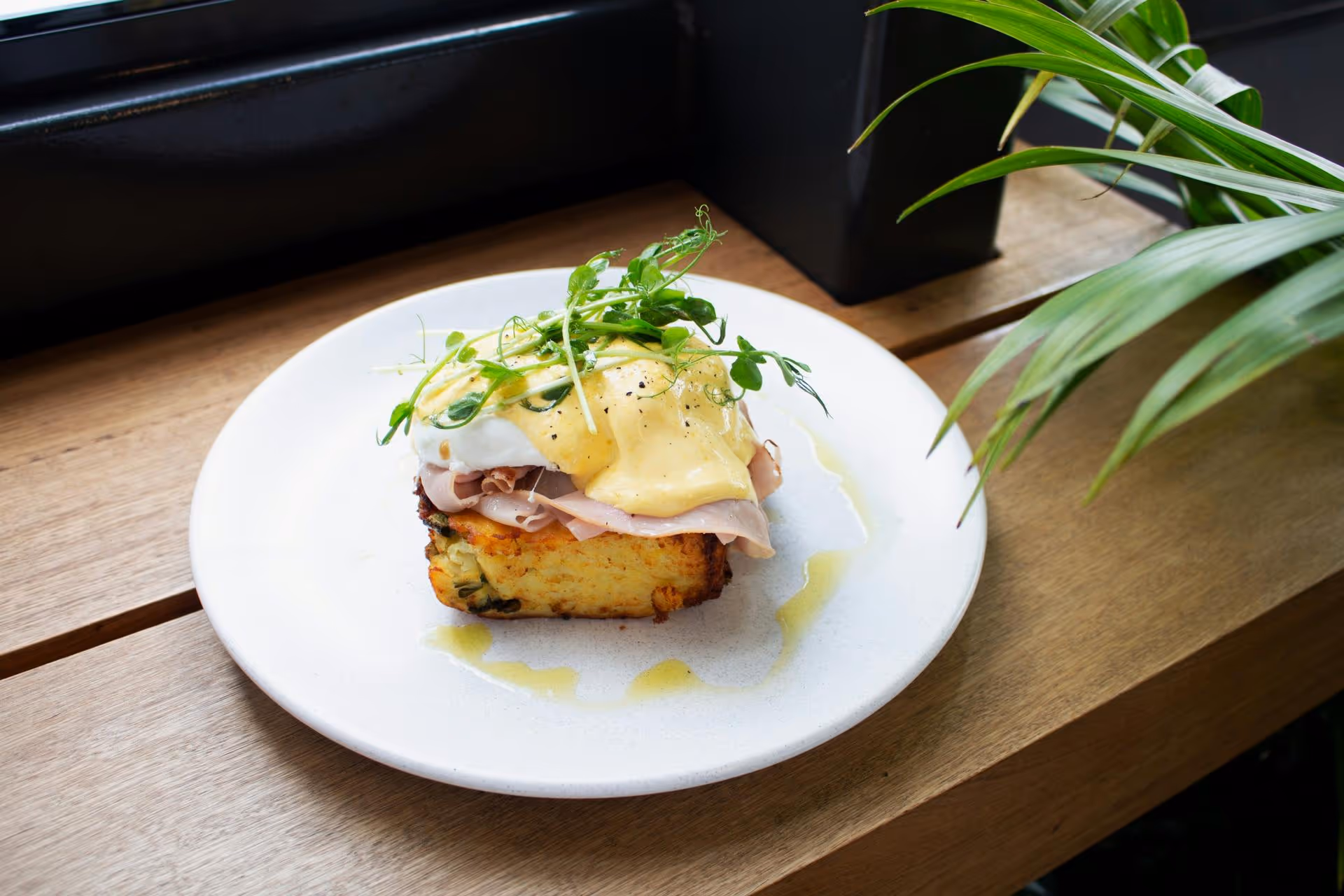 A gourmet breakfast dish on a white plate features a slice of bread topped with ham, poached egg, hollandaise sauce, and fresh herbs, set on a wooden table.