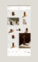 shopify2